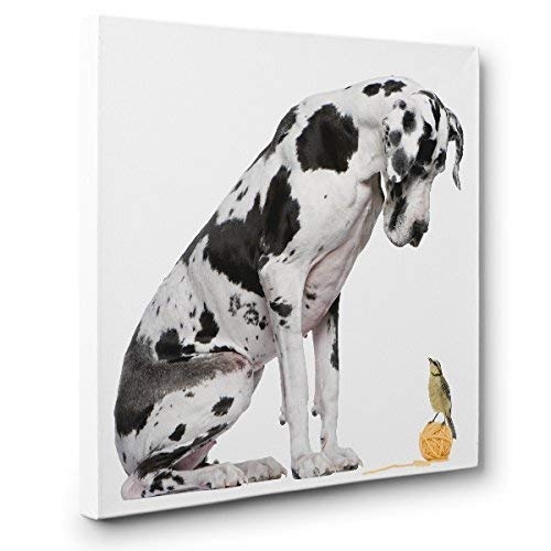 happy cactus sad cactus dog toy