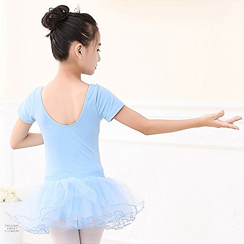 Girls Ballet Leotard With Skirt Toddler Kids Short Sleeve Dance