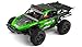 Exceed Racing Desert Monster 1/16 Scale Truck Ready to Run 2.4ghz (DD Green)