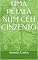 Livro UMA PÉTALA NUM CÉU CINZENTO