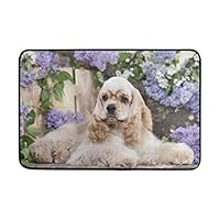 Chen Miranda Dog American Cocker Spaniel Door Mat Carpets Indoor Outdoor Area Rugs Office Door Mat Non-Slip for Bedroom Bathroom Living Room Kitchen Home Decorative 23.6x15.7 inch Lightweight