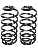 SCITOO 2Pcs Rear Suspension Coil Spring Set Fits