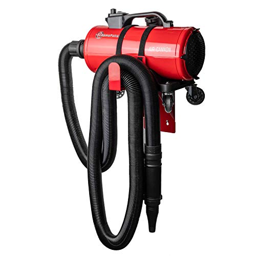 Best Car Air Dryers Blowers & Blades Buying Guide GistGear