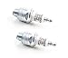 Briggs & Stratton 591868 Pack of 2 Spark Plugs