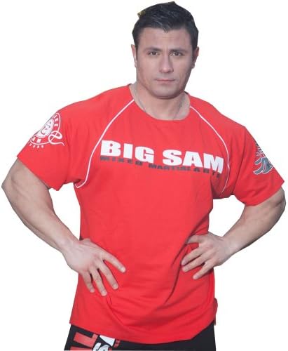 BIG SAM SPORTSWEAR COMPANY Men's Ragtop Rag Top Sweater Gym T-Shirt *3137* L Red