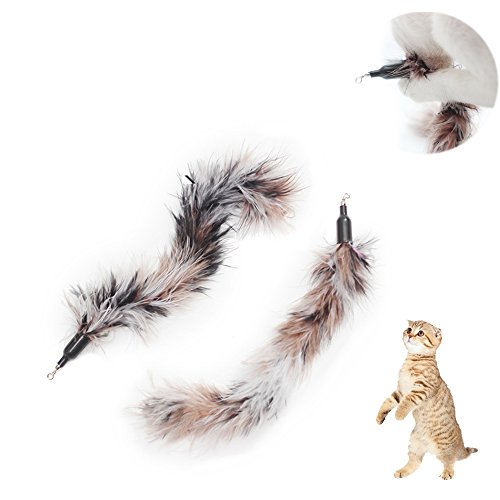 UEETEK 5 Pcs Replacement Refill Feather Catcher for Interactive Cat and Kitten Toy Wands
