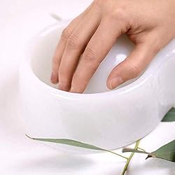 Noel Asmar Spa Manicure Dish, Ergonomic Design