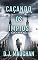Livro Caçando os perversos (Thrillers de Peter Andrassy Livro 4)