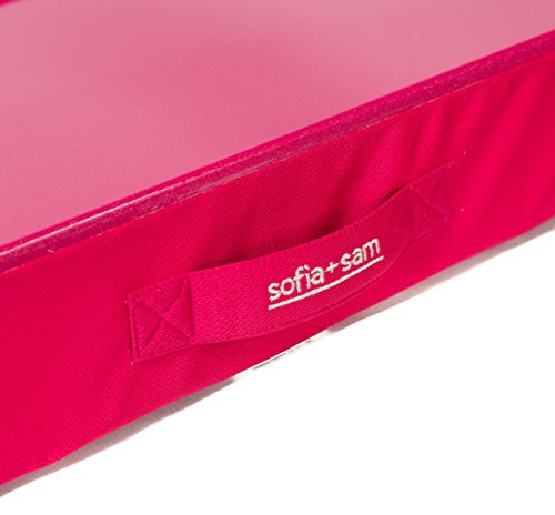 Sofia + Sam All-Purpose Lap Desk Color: Pink