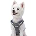 Blueberry Pet Soft & Comfy 3M Reflective Dog Harness Vest | Mesh Padded No Pull Dog Harness w/Back Clips | Multi-Colored Stripe - Ginger and Blue | Reflective Dog Harness for Large Dogs
