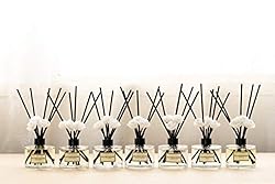 CULTURE & NATURE Reed Diffuser 6.7 oz (200ml) Apple