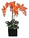 House of Silk Flowers Artificial Triple-Stem Phalaenopsis Orchid Arrangement, Paprika Orange