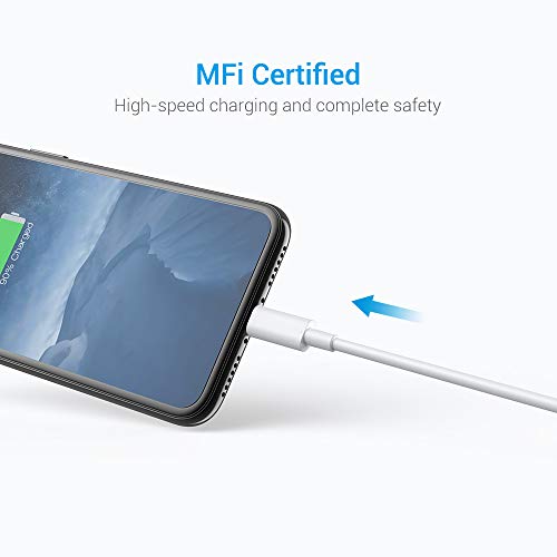 1 Nikolable+Lightning+Certified+Charging+Compatible
