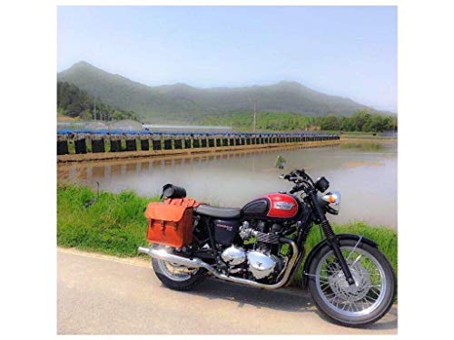 Leather Native 2 X HUGE Motorcycle Side Pouch Brown Leather Side Pouch Classic Saddlebags Saddle Panniers (2 Bags) Summer Sale!