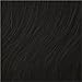 Ken Paves Clip-In Bang Hair Extension 1 piece Ebony/Black