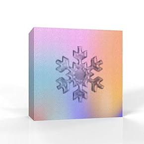 wall26 - Canvas Wall Art - Snowflake Theme...