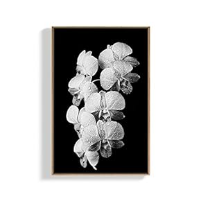Canvas Wall Art for Living Room, Bedroom Plants Framed Canvas Prints for Home Decoration Ready to Hang - 16x24 inches