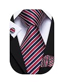 Barry.Wang Stripe Men Ties Set Classic WOVEN