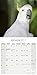 Cockatoos Calendar - 2017 Wall calendars - Parrot Calendars - Bird Calendars - Calendars 2016 - 2017 Wall Calendars - Monthly Wall Calendar by Avonside