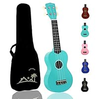 POMAIKAI Soprano Wood Ukulele Rainbow Starter Uke Hawaii kids Guitar 21 Inch with Gig Bag for kids Students and Beginners (Light Blue)