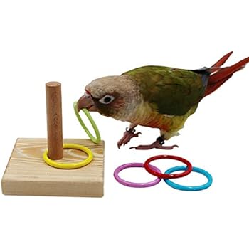 QBLEEV Bird Training Ring Toy, Parrot Trick Tabletop Toys, Bird Educational Toys, Stacking Color Rings,Bird Cage Toys