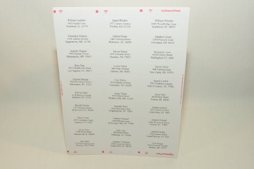 קונים כתובת לבנות Compulabel 310950 עם דבק נשלף בזול באמזון