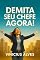 Livro Demita seu Chefe Agora!: Reencontrando a paixão no trabalho. Uma reflexão sobre a importância do trabalho e a transição para uma carreira satisfatória
