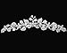 SparklyCrystal Girl Tiara Comb With Crystal Flowers and Leaves C5235