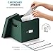 Zober Christmas Ornament Storage Box - Stores 64 Ornaments - Non-Woven, Tear- Proof Christmas Ornament Storage Containers - 3 Inch Cube Compartments - Green