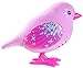 Little Live Pets Bird - Disco Daisy