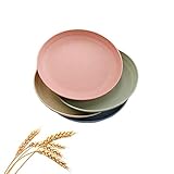 Fruit Plates 7.87” 4 Pack, Ccinny Wheat Straw Healthy & BPA Free Microwave Plate, Tableware Dinnerware Fruit Snack Containers for Adult and Toddler Baby Kids, Dishwasher Safe Lunch Dinner Dishes