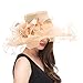 SAFERIN Women's Organza Church Kentucky Derby Hat Feather Veil Fascinator Bridal Tea Party Wedding Hat (SF4-Champagne)