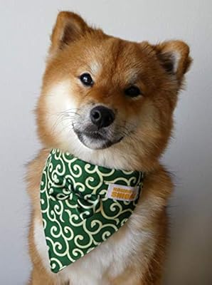 shiba inu bandana