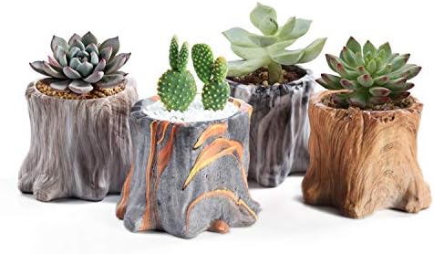 4 35 Inch Succulent Planter Pots Small Ceramic Flower Cactus Pots Set 4 Pack Tree Stump Succulent Pots With Drainage Bonsai Pots Gift For Home Decor Indoor Outdoor Buy Online At Best Price