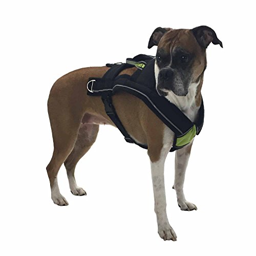 FrontPet Dog Pulling Harness & Pulling Leash Adjustable Padded Dog