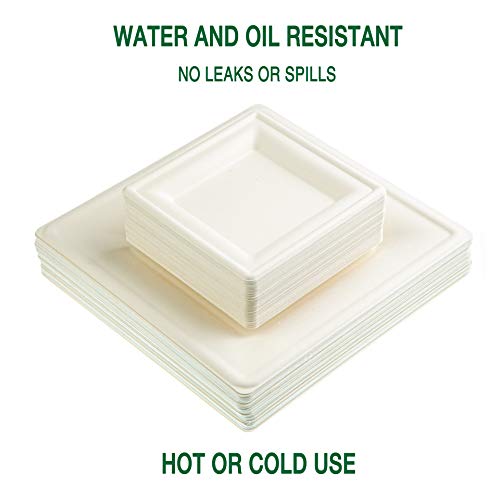 Kikigreen Bagasse Square Compostable Plates [100-pack] Dessert Disposable White Paper Plates Made Of Sugarcane (10 and 7 inch) - Thumbnail 3