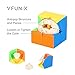 2x2 Speed Cube, VFunix Eco-Friendly Plastics and Vivid Colors Stickerless 2x2 Cube