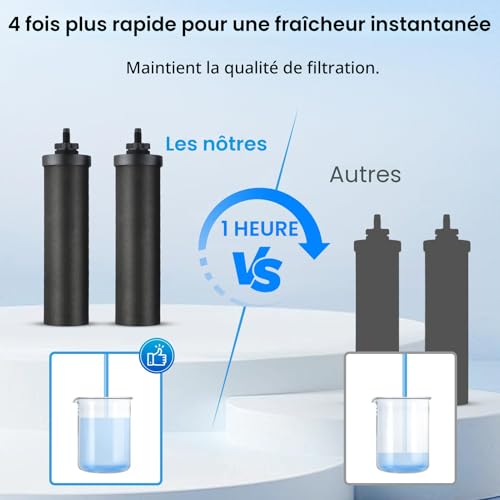 Filtre à eau de rechange, 2 filtre à eau à charbon actif pour filtration par gravité, charbon actif eau purificateur d'éléments de purification pour extérieur filtre eau maison