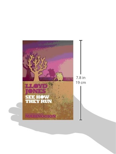 See How They Run (New Stories from the Mabinogion)