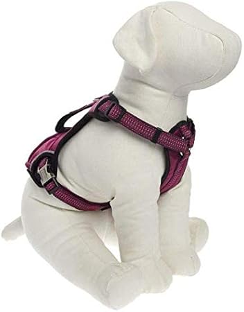amazon kong harness