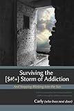 Image de Surviving the [$#!+} Storm of Addiction And  Stepping Blinking into the Sun: A wife's journal about her husband and their children through his addicti