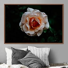 signwin Framed Canvas Wall Art Flora Snapshot Closeup...