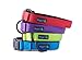 “Classic Comfort Dog Collar Premium Nylon Neoprene Padded 1