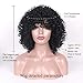 MERISIHAIR Curly Afro Wigs for Black Women Synthetic Heat Resistant Jet Black Short Curly Full Wigs for Black Women (Natural Black)