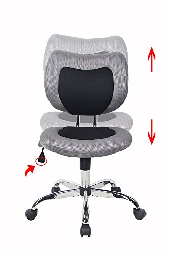 Bonum Swivel Desk Office Chair Low Back Armless Task Study Chair Adjustable Seat Height Mesh Home Chair - Black (Black)