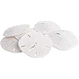 Sand Dollar | Real Sand Dollars 3" to 3 1/2" (Set of 6) | Sand Dollar Shells | Plus Free Nautical eBook by Joseph Rains