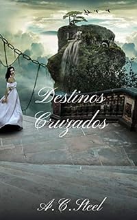 Livro Destinos Cruzados