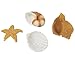 13 Piece Garden Fairy Kit – Mermaids Miniature Resin Figurines with Accessories, Decorative Spring Flower Garden Ornaments for Outdoor, Lawn, and Home Decoration