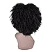 Miss Rola Synthetic Afro Curly Wig Soft Silk Kanekalon Fiber For Black Women Short Kinky Hair Natural Black Color 11