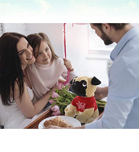 DolliBu Pug Dog with I Love You Message T-Shirt Stuffed Animal 10 Inch, for Boyfriend or Girlfriend, Cute Teddy Bear with Heart Plush Toy for Friend, Anniversary or Valentine Gift